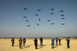 Berck plage